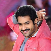 NTR Latest Photos